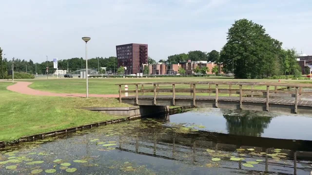 代尔夫特理工大学好吗，中国最认可的荷兰大学