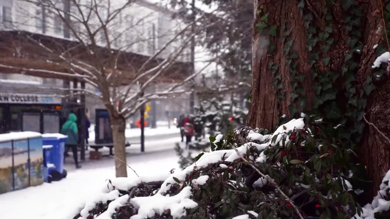 加拿大有多少中国留学生，现在去加拿大留学的人多吗