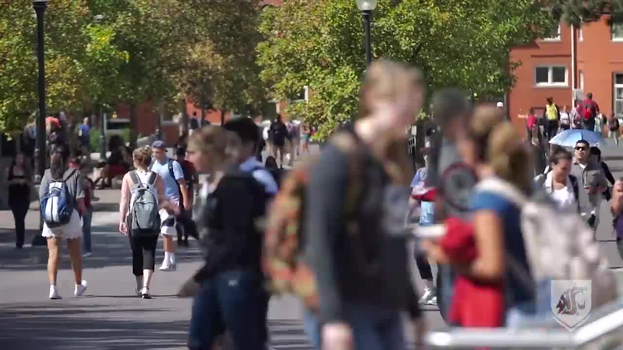 介绍美国留学学生保险的书，境外留学生意外险