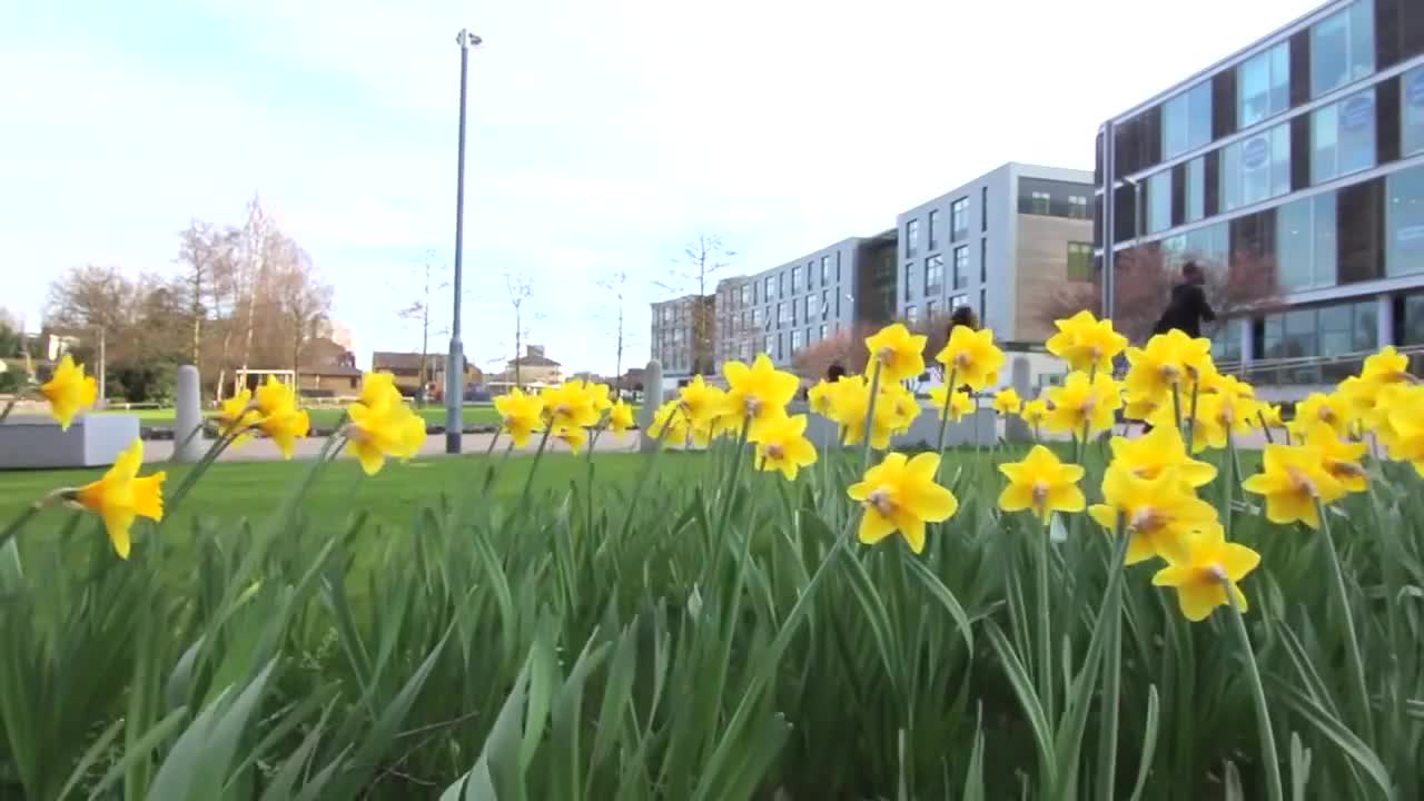 巴斯斯巴大学怎么样，巴斯斯巴大学世界排名